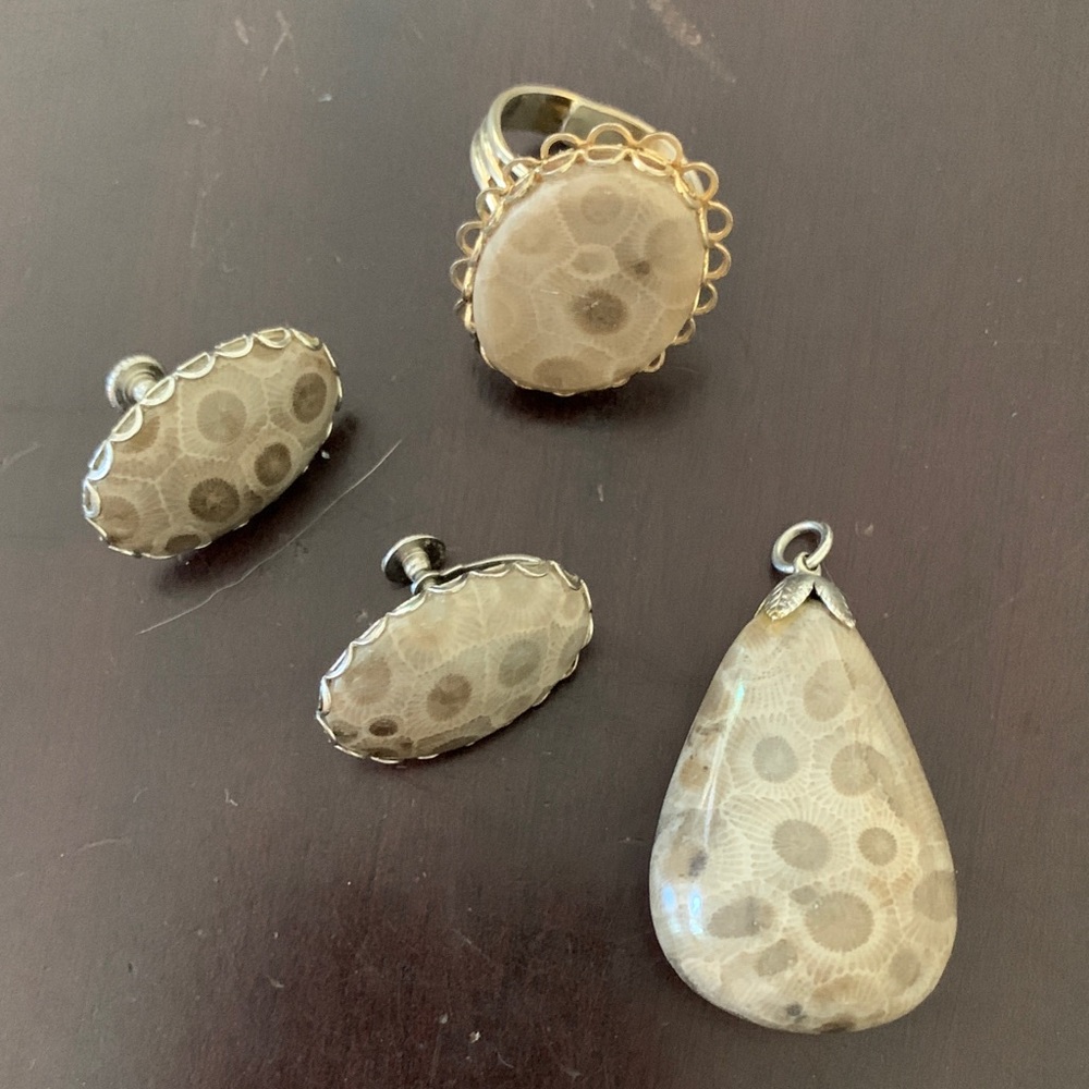 Beige Petoskey Stone Pendant and Earring Set - Natural Beige Jewelry